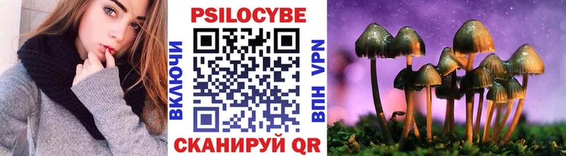 Галлюциногенные грибы мицелий  где купить наркоту  blacksprut ТОР  Сургут 